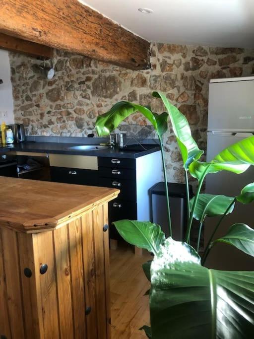 Le Loft Cosy - Centre Ville - Cadre Royal Sète Dış mekan fotoğraf