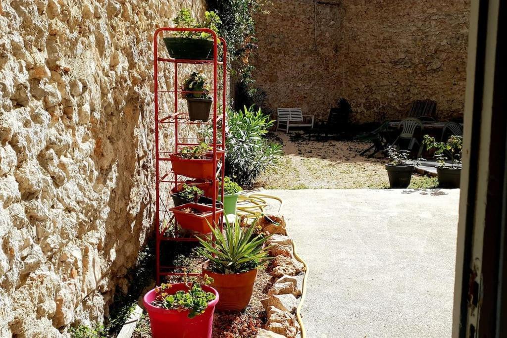 Le Loft Cosy - Centre Ville - Cadre Royal Sète Dış mekan fotoğraf